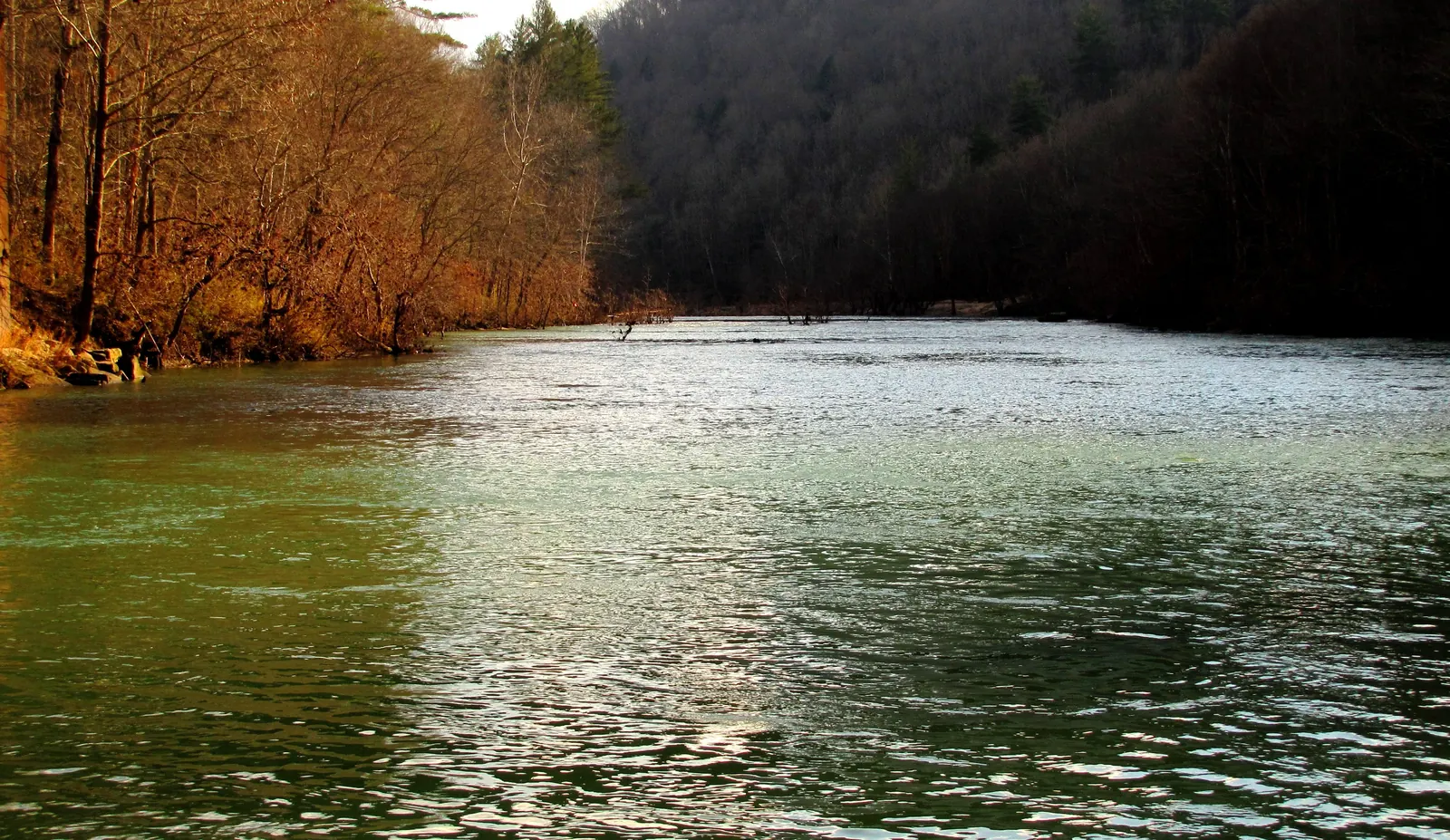The Big South Fork flows through a wooded gorge corridor with clear green water and rocky banks.