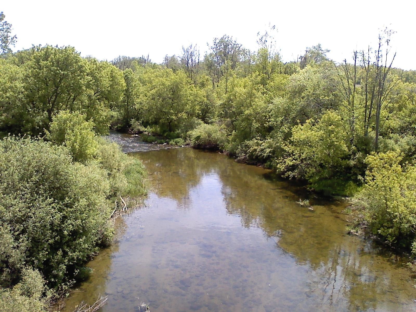A wooded Michigan river corridor.