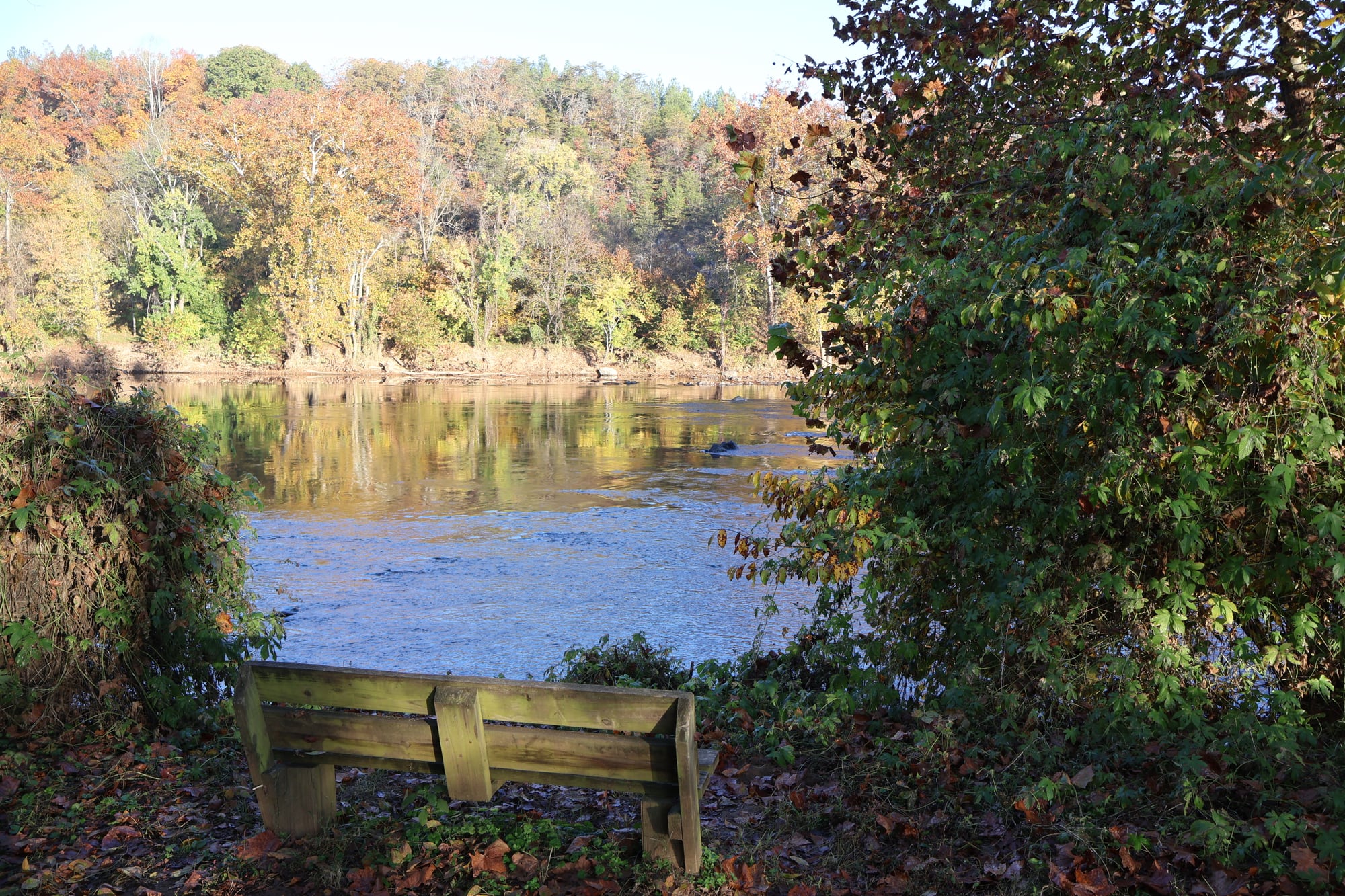 The James River reflects autumn foliage beside a bench at James River State Park.