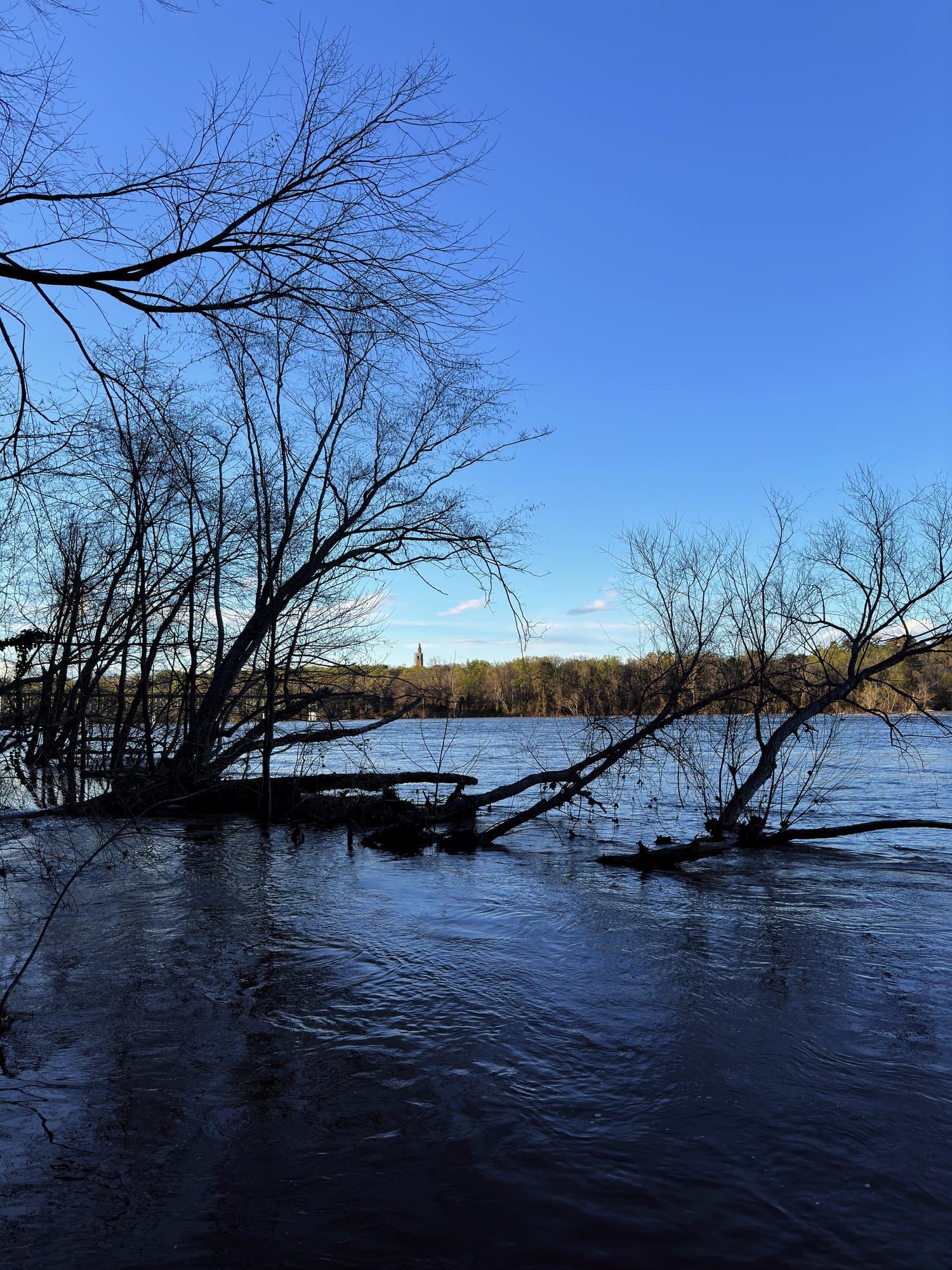 The James River viewed from Reedy Creek with the Virginia War Memorial Carillon in the distance.