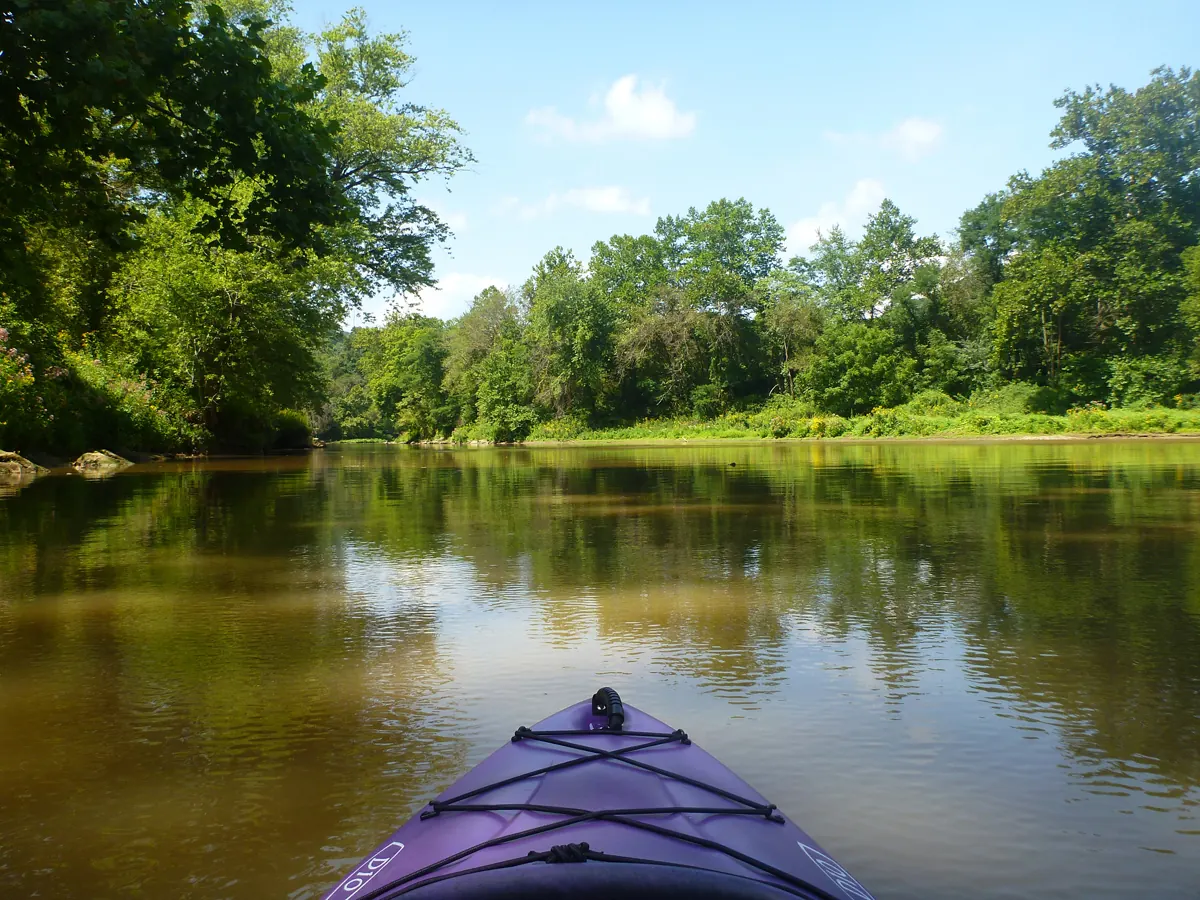 Kayakers paddle the Little Beaver Creek corridor near Ohioville with wooded banks and gentle current under a bright sky.