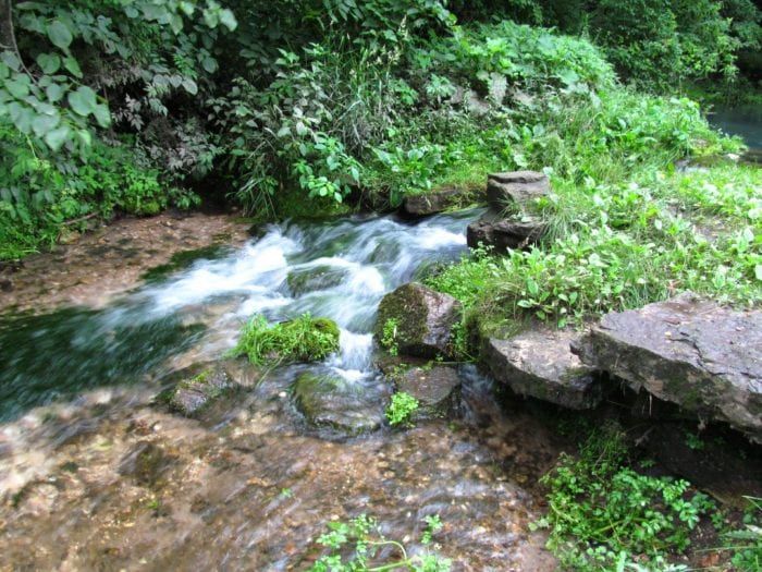 The Maquoketa River runs below the rocky wooded bluffs of Backbone State Park.