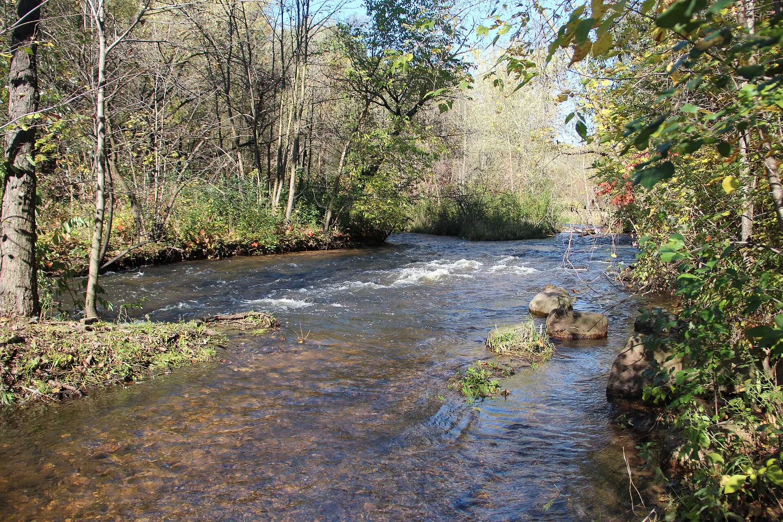 Minnehaha Creek flows through a wooded Minneapolis park corridor with autumn leaves along the banks.