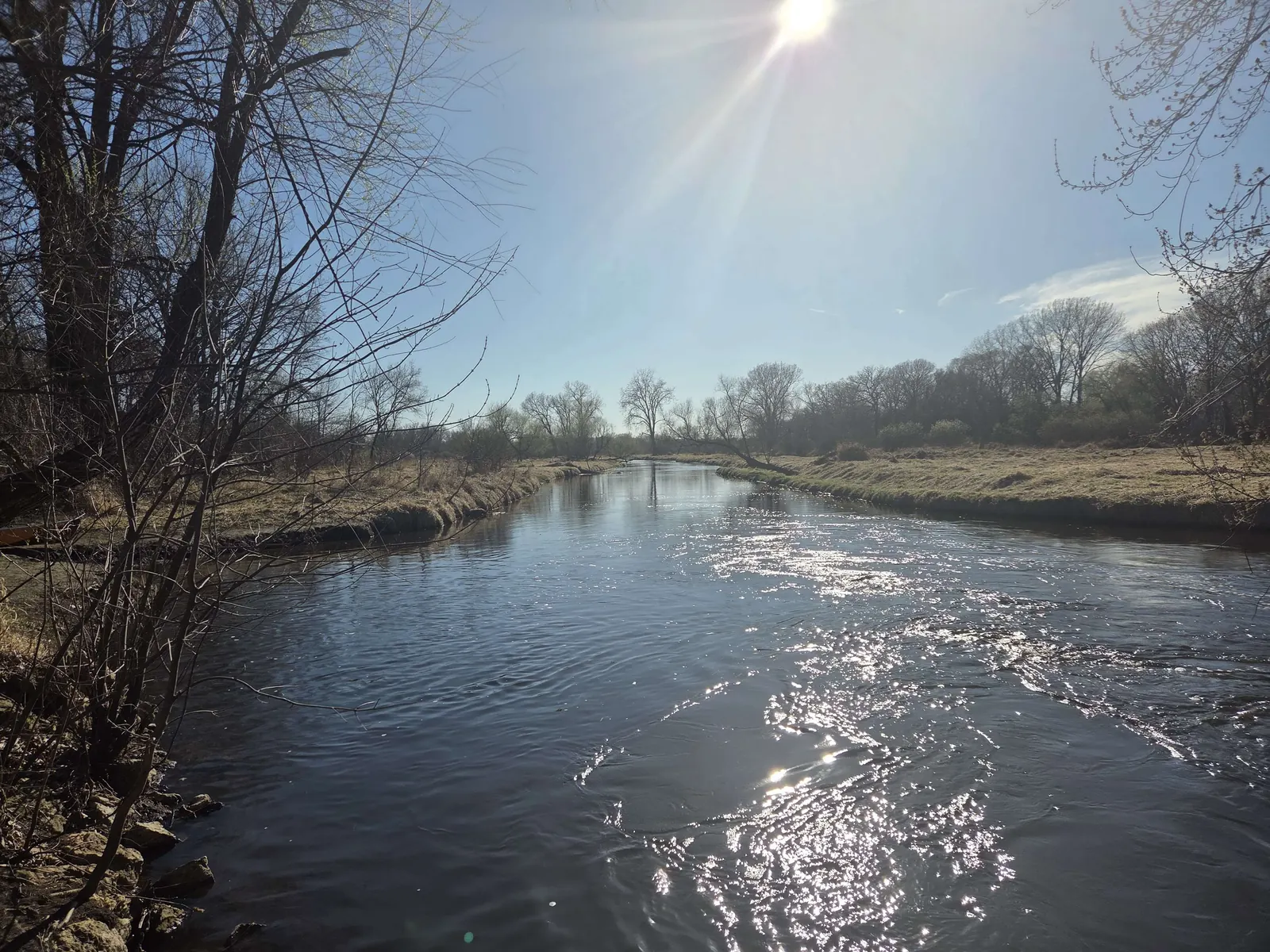 Rice Creek flowing under bright sun with sparkling water, grassy banks, and early spring trees along the channel.