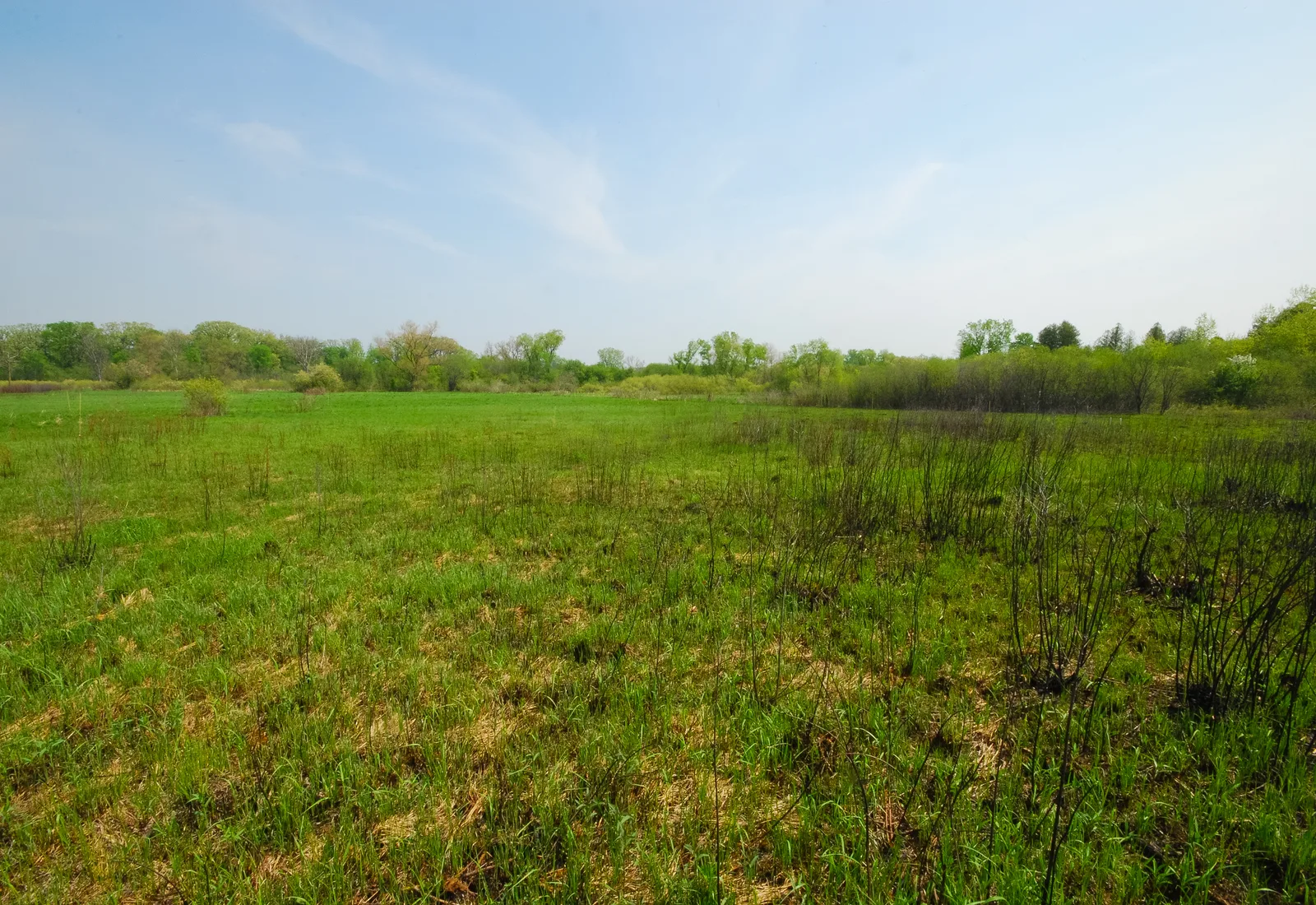 Allen Creek Wetlands preserves wetland habitat along Allen Creek in Jefferson County, Wisconsin.
