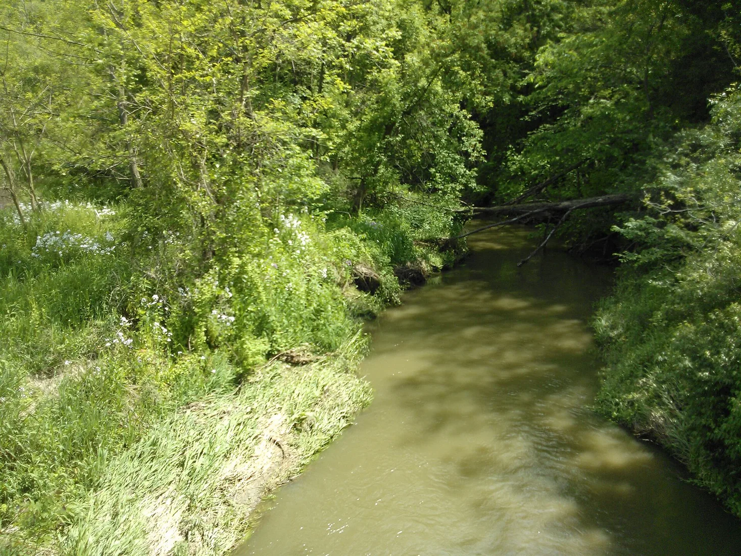 Black Hawk Creek flows through a wooded corridor in Sunderbruch Park in Davenport, Iowa.