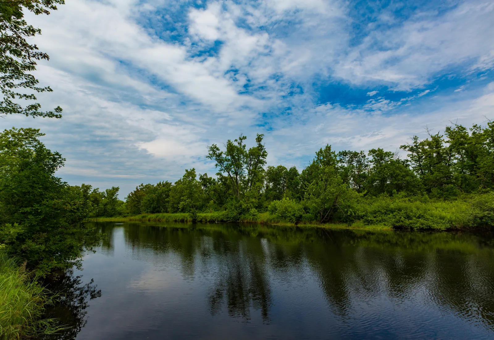 The Cloquet River passes a picnic and campground area in Cloquet Valley State Forest, Minnesota.
