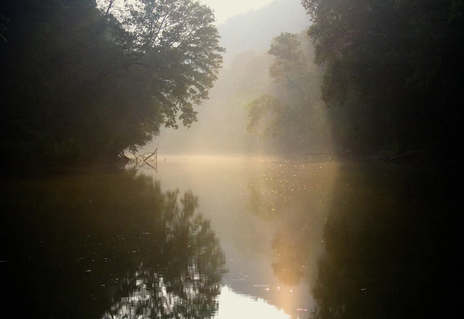 Morning mist and sunlight hang over the wooded Green River near Mammoth Cave National Park, Kentucky.