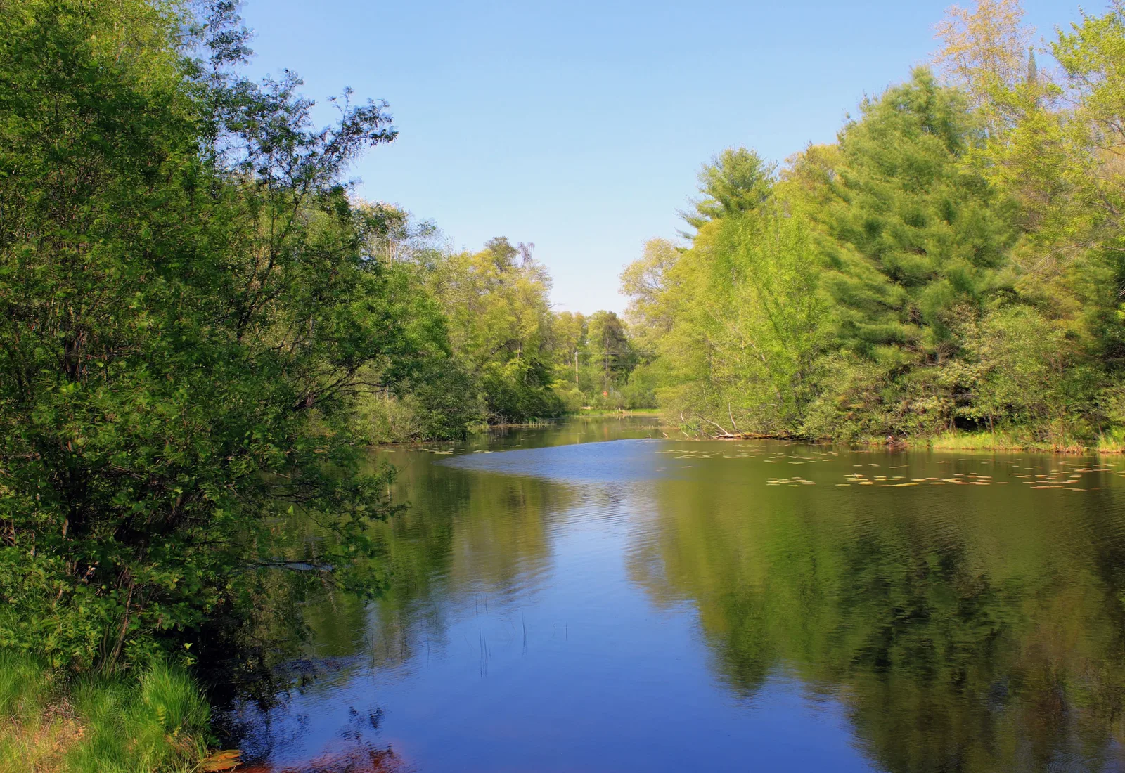 The Peshtigo River runs through forested banks in northern Wisconsin.