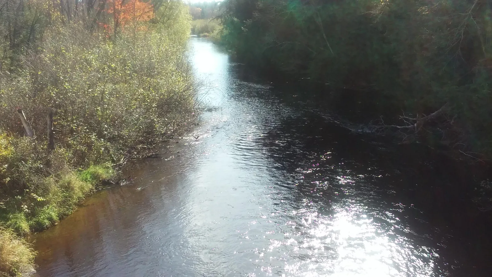 The Prairie River flows through a wooded corridor near the National Water Prediction Service gauge at Merrill, Wisconsin.