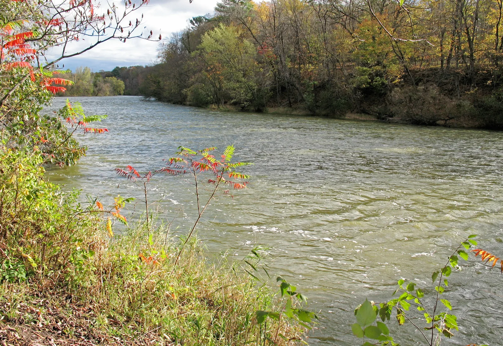The Red Cedar River flows past the Red Cedar State Trail in Menomonie, Wisconsin.
