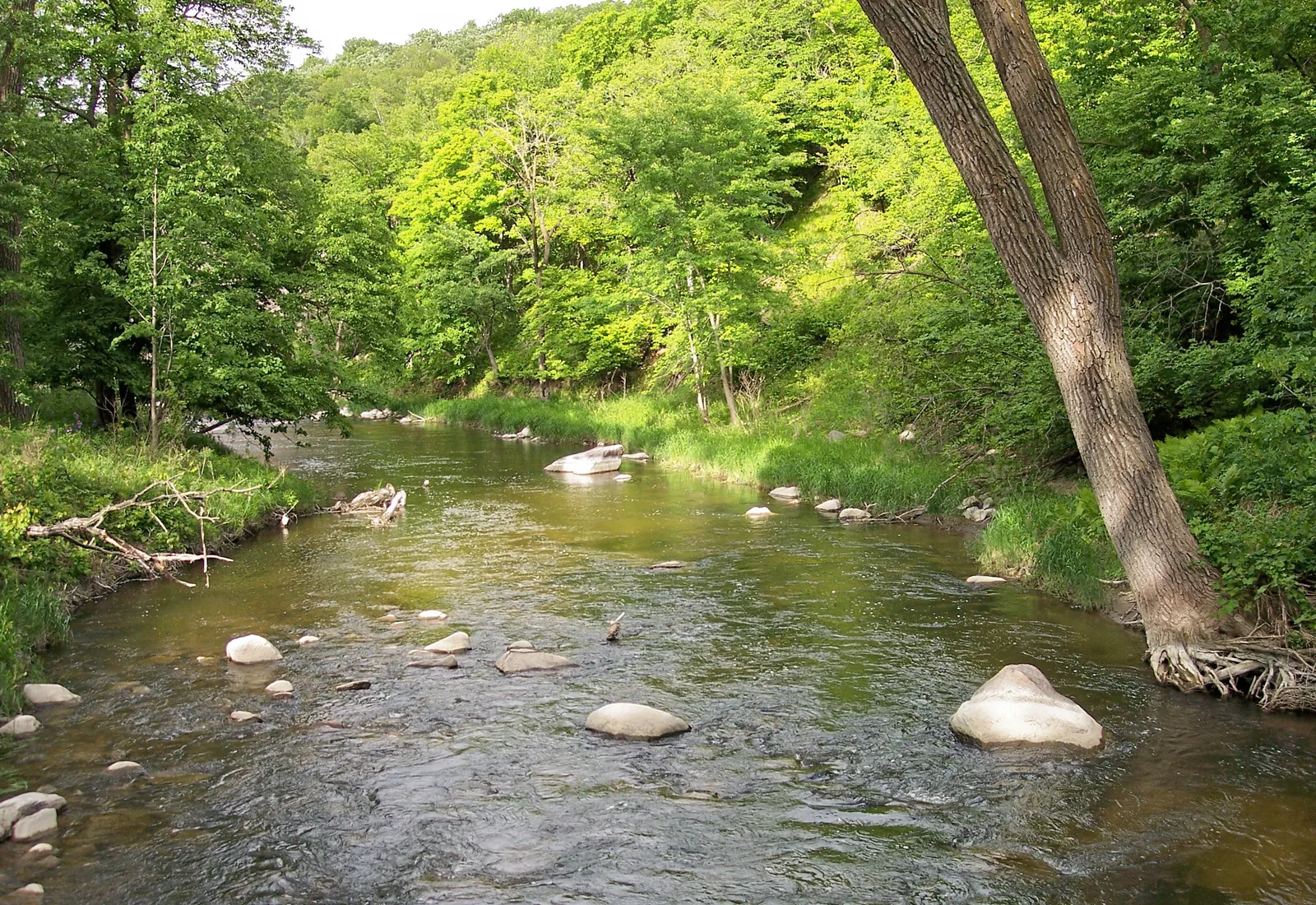 The Redwood River flows through Camden State Park in Lyon County, Minnesota.