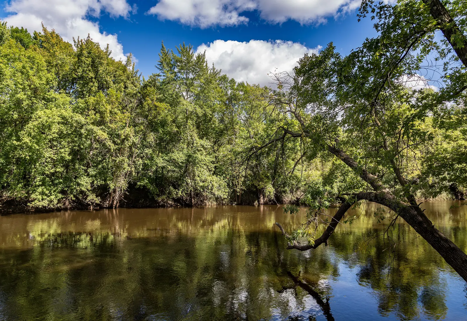 The Rum River reflects a green canopy as it passes Riverside Park in Princeton, Minnesota.