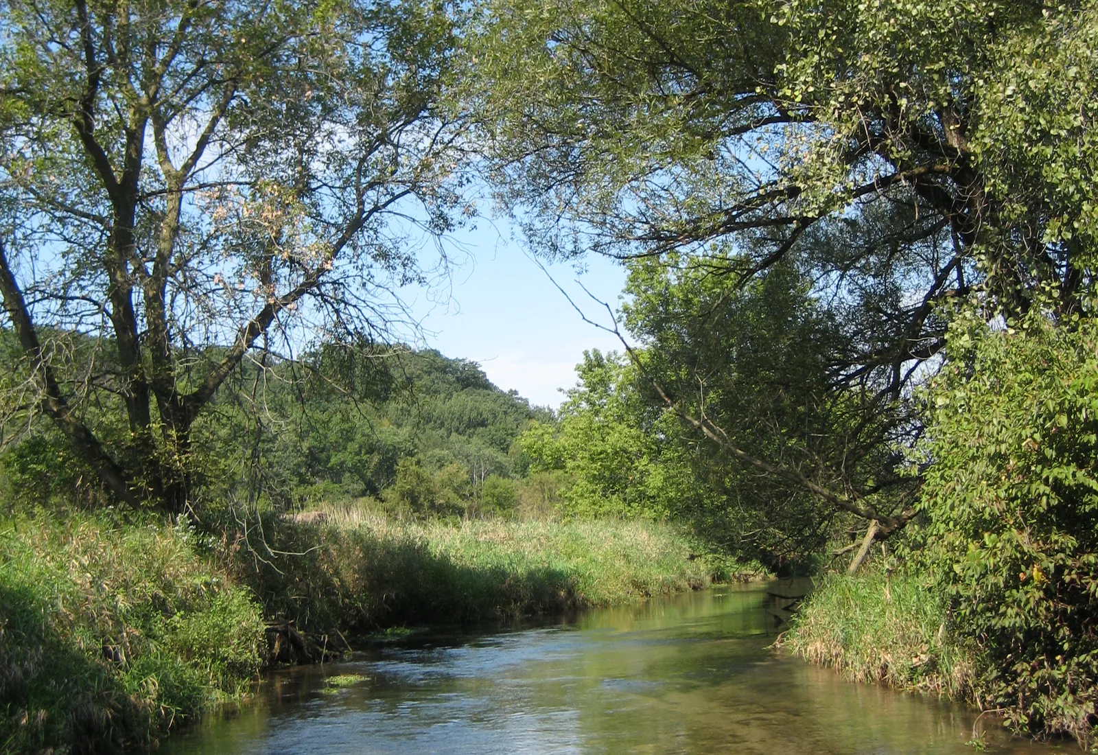 The Sugar River flows near Mount Vernon, Wisconsin.