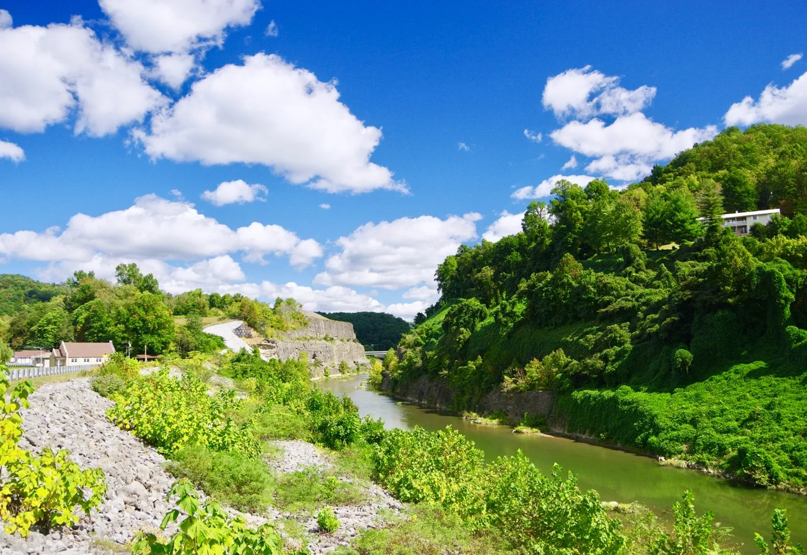 The Cumberland River follows a green valley through Loyall in eastern Kentucky beneath a bright summer sky.