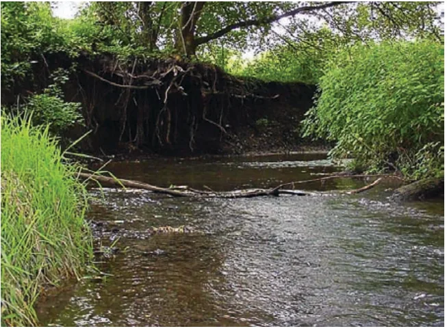 The West Branch Sugar River flows past eroded banks before watershed restoration work in Dane County, Wisconsin.