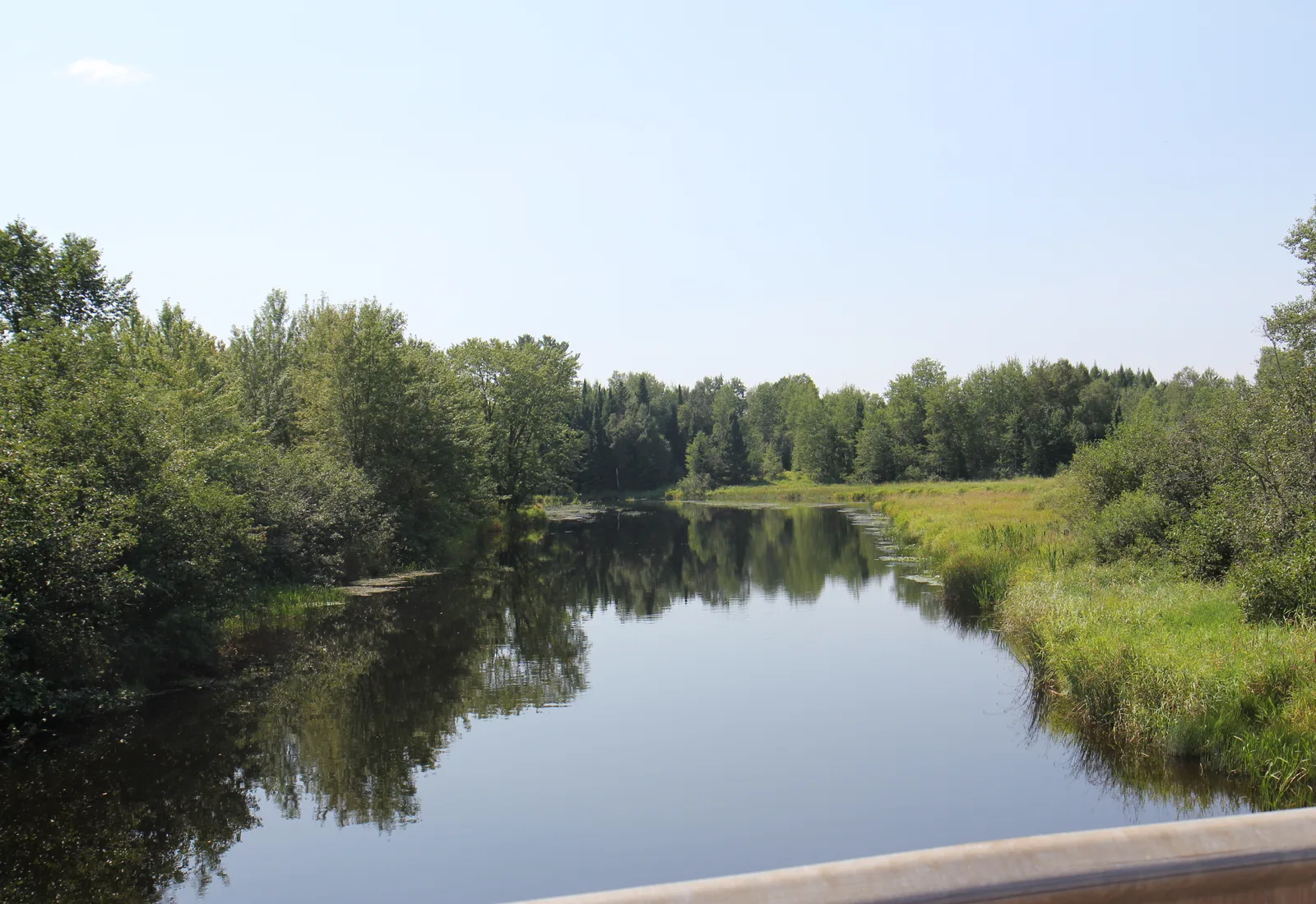 The Wolf River runs through forest near Pearson, Wisconsin.